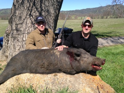 Matt & Luke's First Pig Hunt